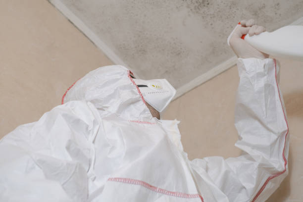 Best Residential Mold Removal  in Dearborn Heights, MI